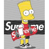 Brand Catalog-ZX 1022